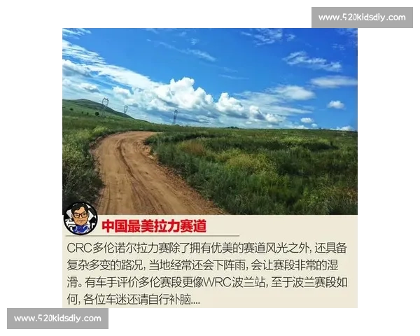 赛车赛场风波不断 引发规则与裁判争议深度解析